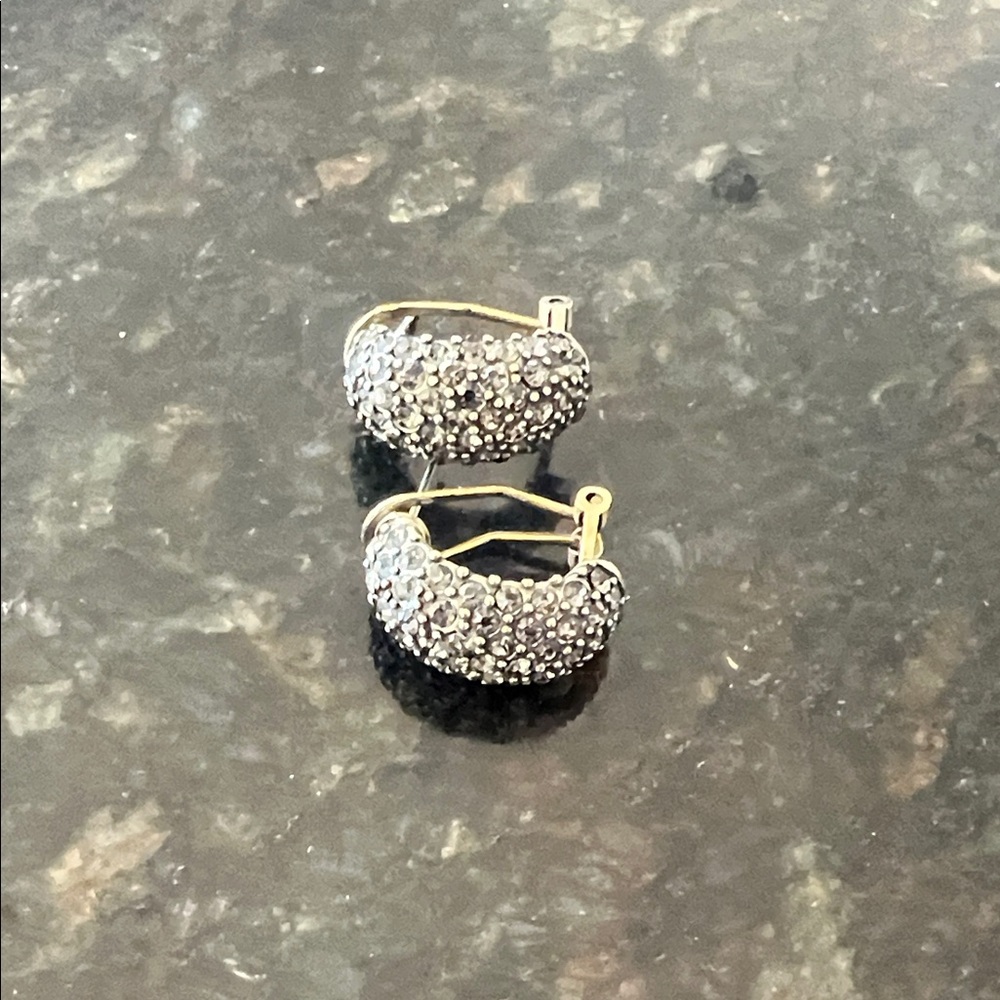 Heidi Daus Elegant Gold and Silver Hoop Earrings